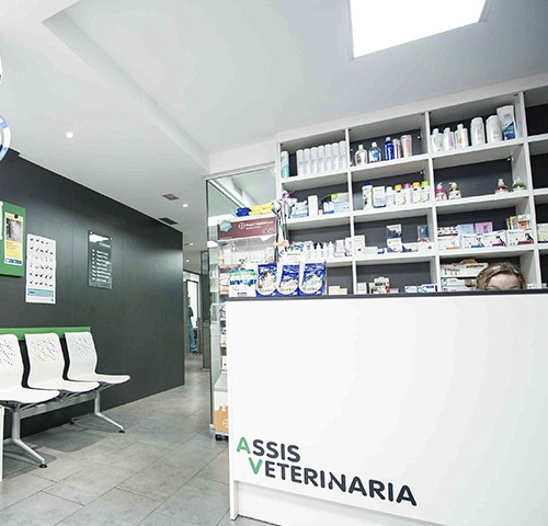 assis_veterinaria_portada